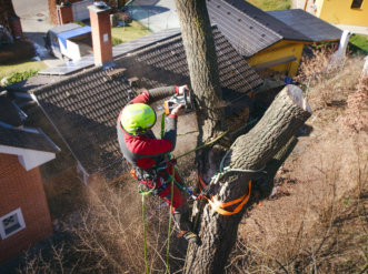 24 Hour Emergency Tree Services